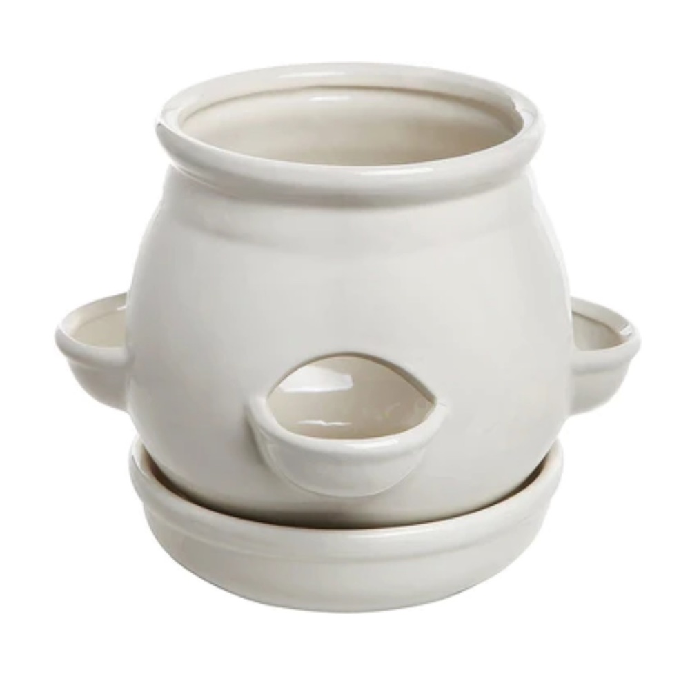 NWOT✨ Decorative 4 Side Openings White Round Ceramic Planter Pot with Saucer